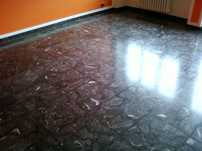 cristalizz giovane fenice (4)